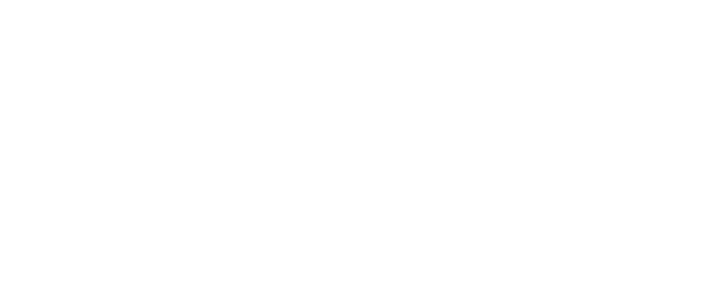 Logo Hoover